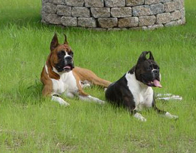 Hunter and Eve
